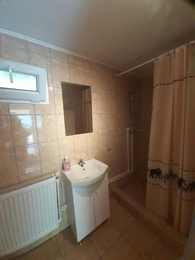 Appartamento Casa Iza Băile Herculane Esterno foto