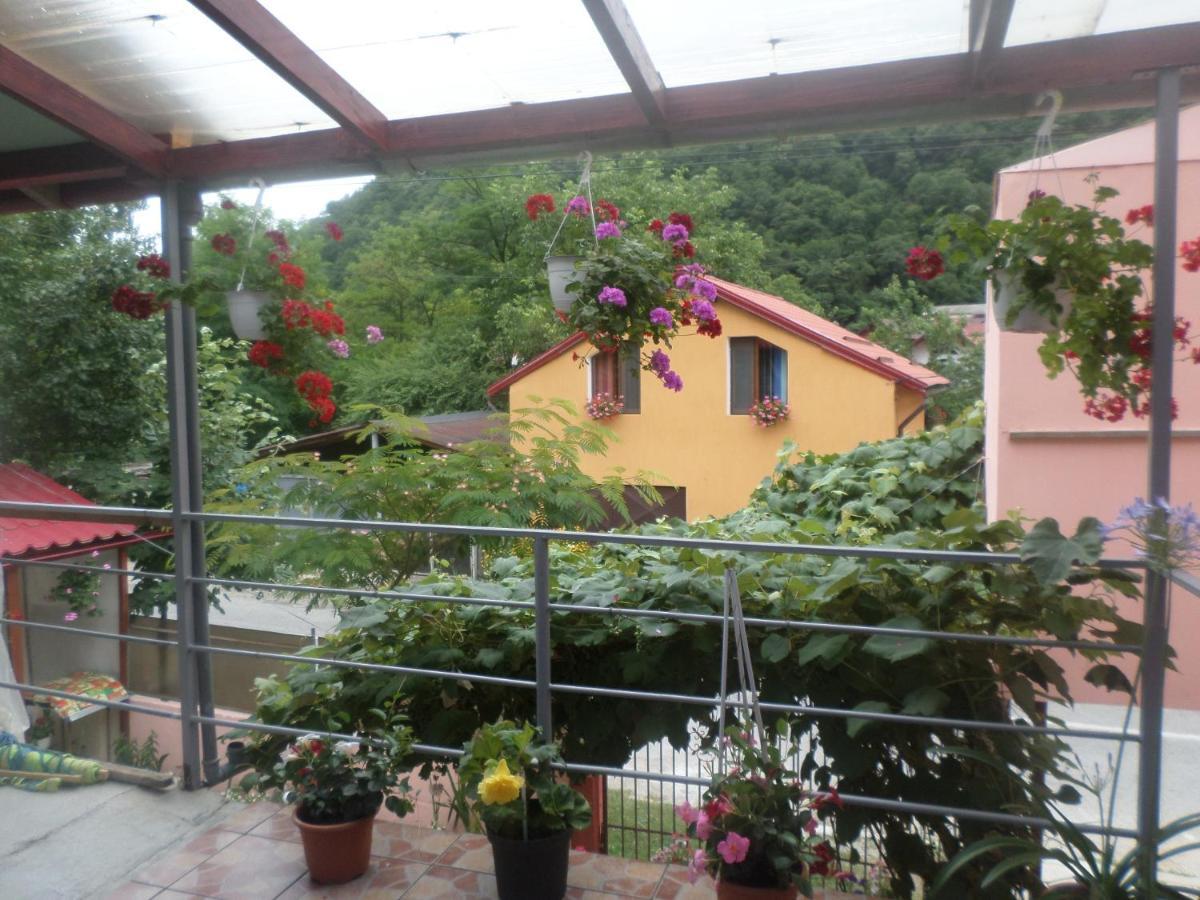 Appartamento Casa Iza Băile Herculane Esterno foto