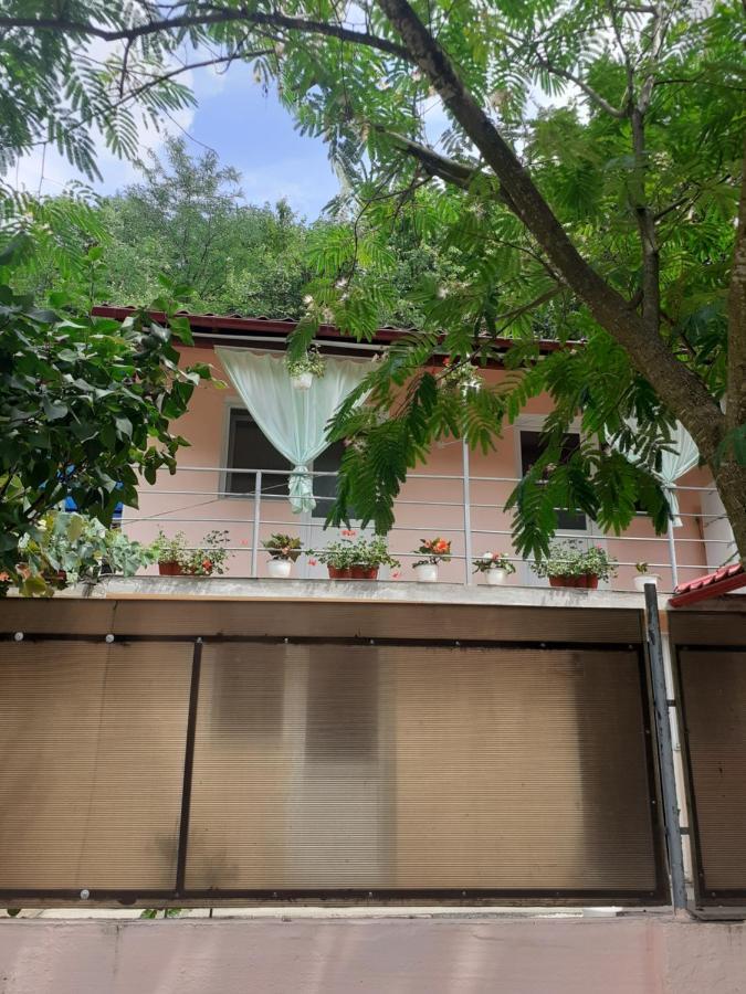 Appartamento Casa Iza Băile Herculane Esterno foto